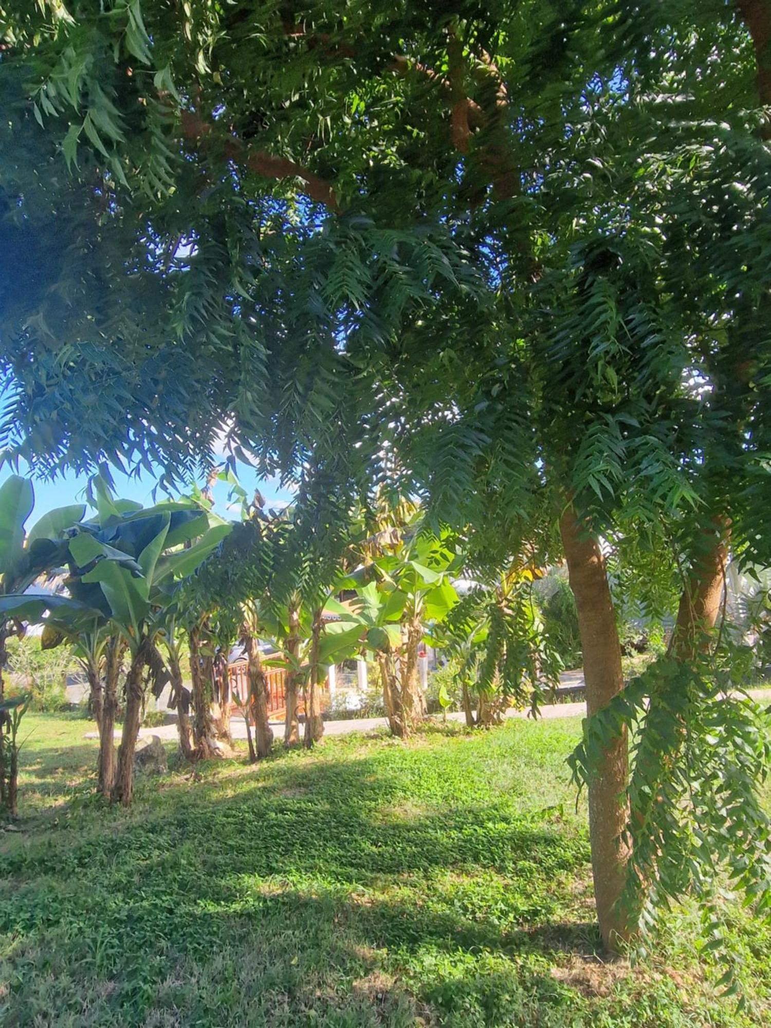 Les Villas De Boisvin Льо Мул Екстериор снимка